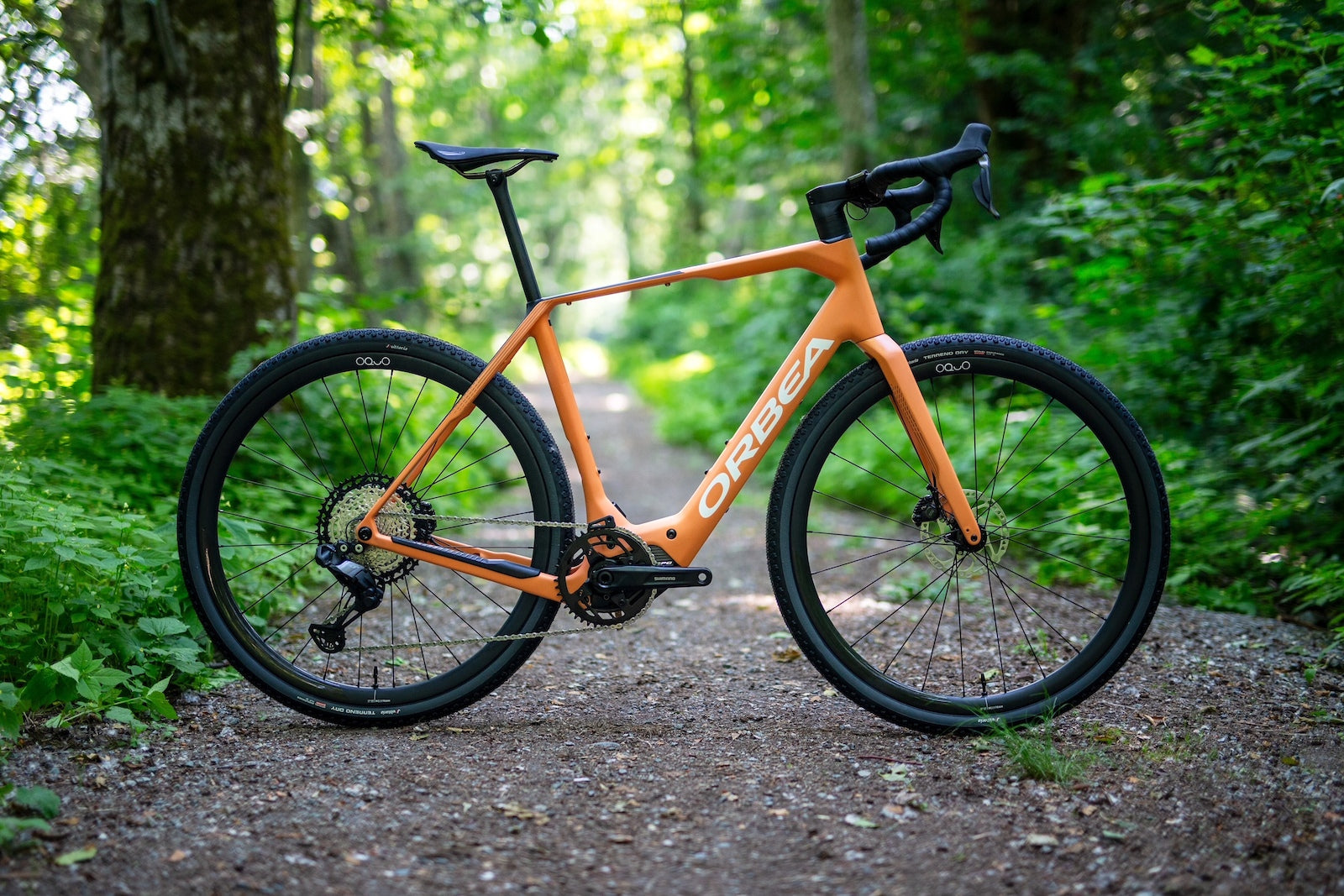 orbea gravel e bike 2025 ORBEA Denna M20I (MY0/Custom Build) – Squamish Bike Shop