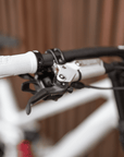 2026 ORBEA RALLON DH - LTD, SRAM/ROCKSHOX (CUSTOMBUILD)